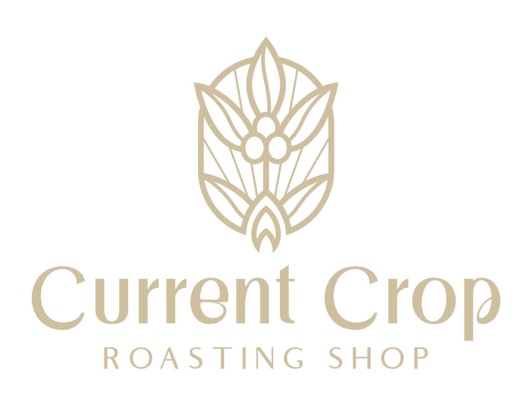 Learn - Current Crop Roasting Shop